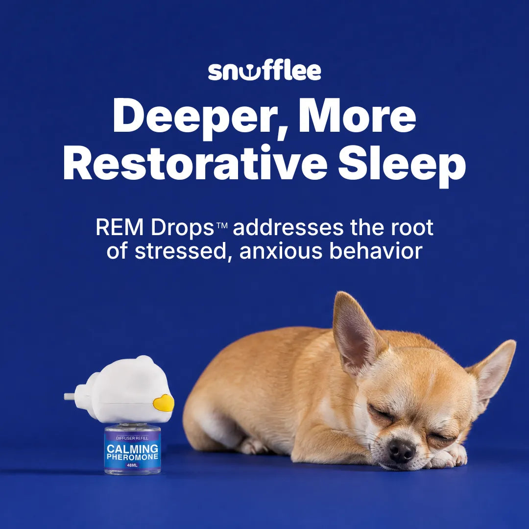 Snufflee REM Drops™ — Pheromone Diffuser