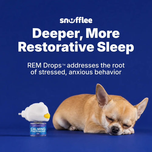 Snufflee REM Drops™ — Pheromone Diffuser