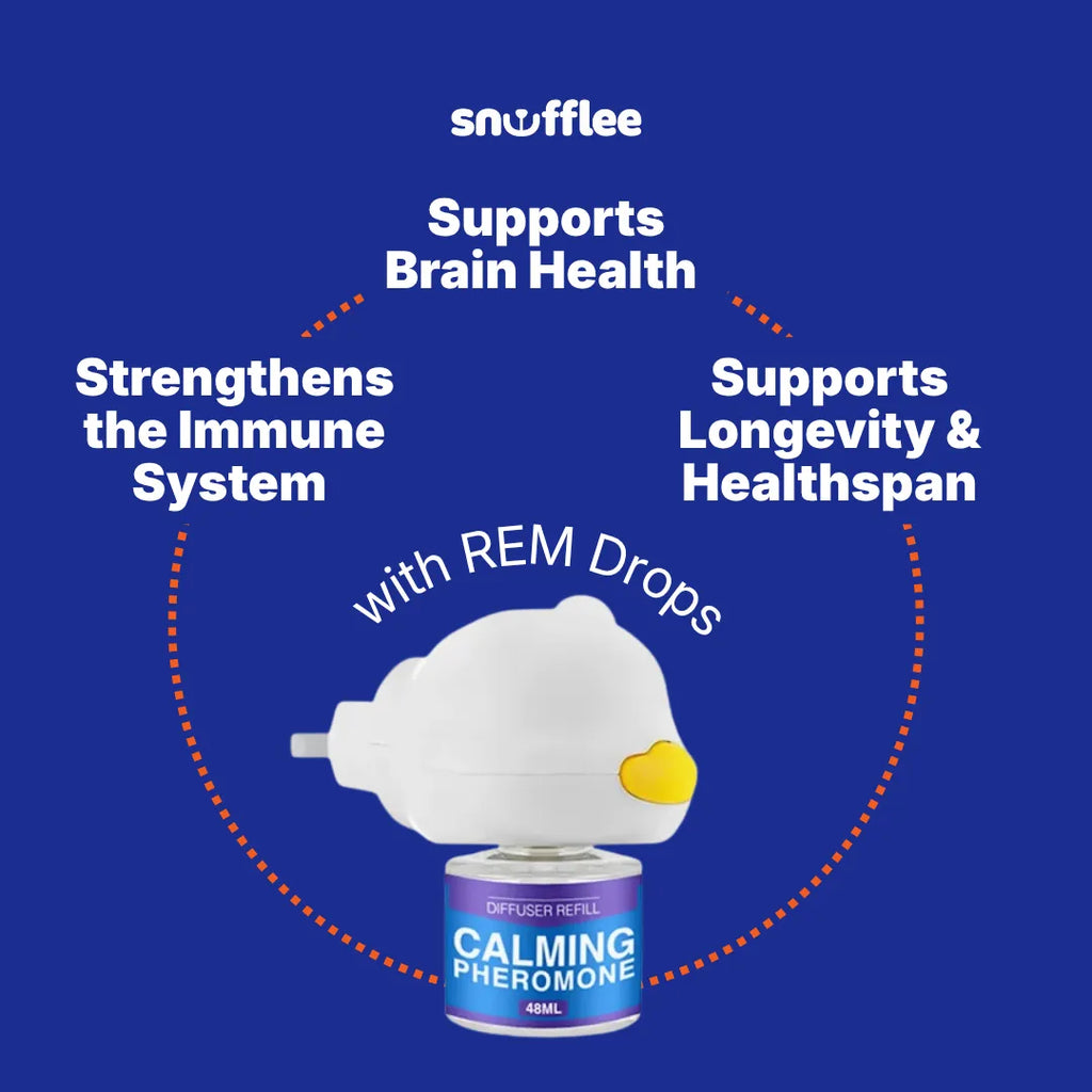 Snufflee REM Drops™ — Pheromone Diffuser