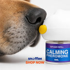Snufflee REM Drops™ — Pheromone Diffuser